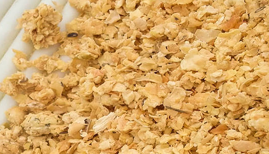 豆粕期貨行情分析，豆粕期貨的手續(xù)