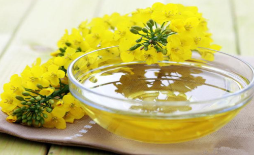 菜油期貨手續(xù)費(fèi)標(biāo)準(zhǔn)，怎么降低菜油