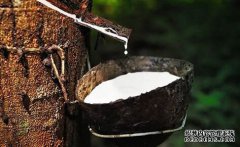 橡膠上漲仍可期，焦炭期現(xiàn)聯(lián)動(dòng)，向