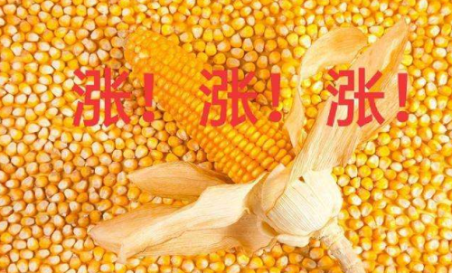 玉米期貨開(kāi)戶要驗(yàn)資嗎？為何不能買