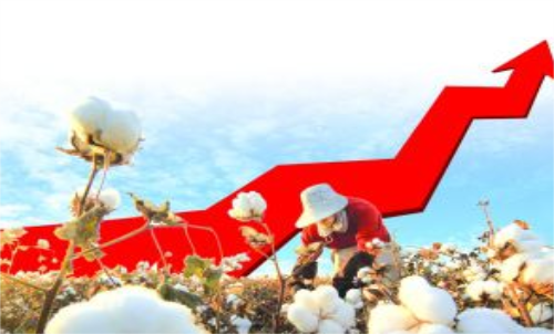 棉花期貨價格變化和哪些因素有關(guān)？