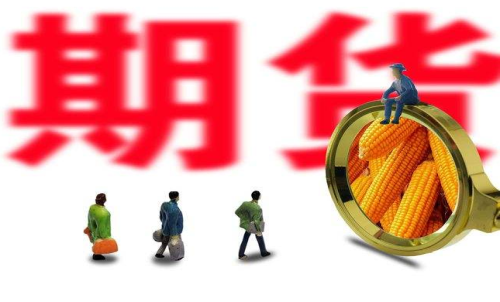 新手投資者怎么買玉米期貨？